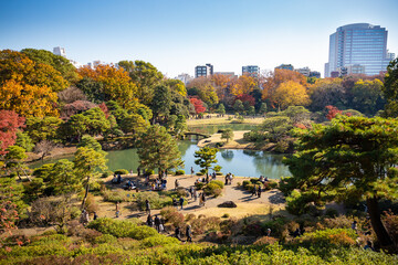 Fototapeta na wymiar autumn japanese garden with colorful trees and pond