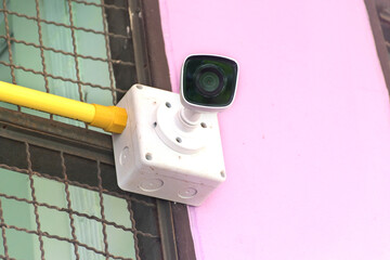 The calf was fed from the mother's head when bent under the cow's belly. The whole cow was seen on the lawn.