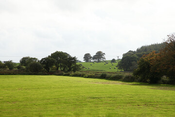 Fototapeta na wymiar Beautiful, serene countryside in United Kingdom featuring paddocks, trees and farming land