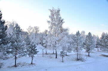 Fototapeta na wymiar Trees covered with hoarfrost in the first rays of the sun