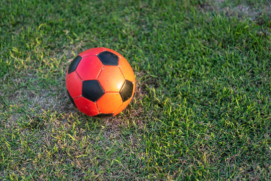 Red and black soccer ball on the lawn.