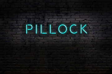 Neon sign. Word pillock against brick wall. Night view