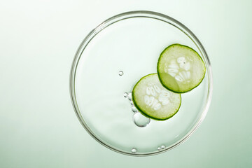 cucumber slice in petri dish on green background. 