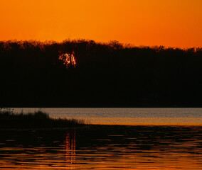 Sunset and orange sky behind silhouetted tree line