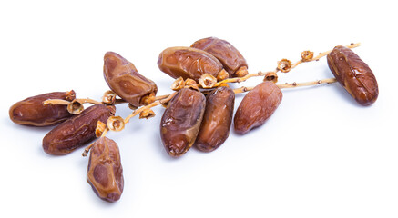 date palm isolated on white background