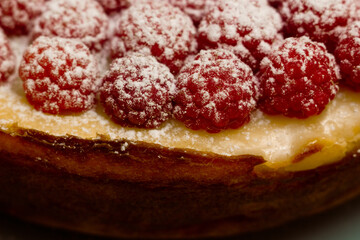 Homemade Cheesecake with Fresh Raspberries and Currants - Healthy Organic Summer Dessert Cheesecake Pie. Vanilla Cheese Cake with Wild Berry