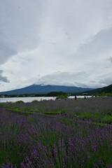 I love going to the lake. 