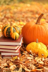 Autumn books. Halloween books. Stack of books and pumpkins set on bright  autumn foliage...