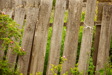 Wooden rustic fence in village near the house near the forest. Sunlight, old wood.