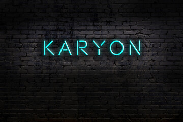 Night view of neon sign on brick wall with inscription karyon