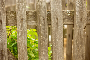 Fototapeta premium Wooden rustic fence in village near the house near the forest. Sunlight, old wood.