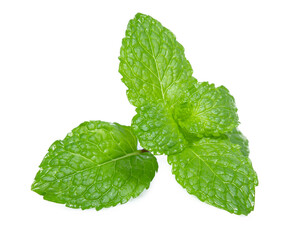 green mint pepper leaf isolated on white background