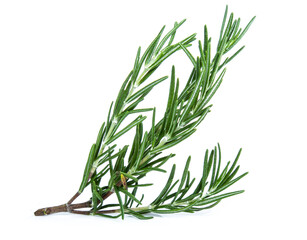 rosemary isolated on white background (Mix, set , collection)