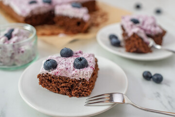 sweet home made chocolate brownie with blueberries