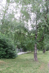 Fototapeta premium Russia, Vologda City, Center, july 2020 (139) 