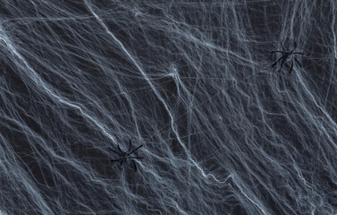 Halloween scary background, decoration. Spiders with spider web on a black background. Arachnophobia