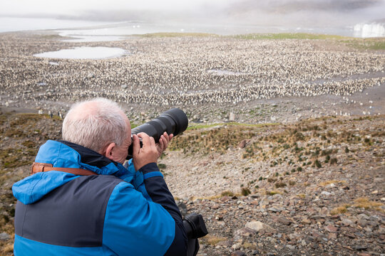 Photographing the King Penguin colony, Saint Andrews Bay, South Georgia