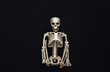 Skeleton on black background. Halloween decoration, scary theme. Flat lay. Minimalism