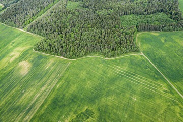 aerial view of summer green fields with forest and country road. birds eyes view