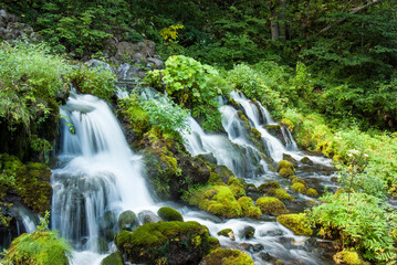 Fototapeta na wymiar 湧水と小さな滝のある風景