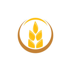 Wheat Logo Template vector symbol