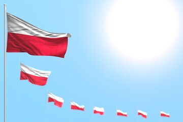 nice many Poland flags placed diagonal with selective focus and free place for text - any celebration flag 3d illustration..