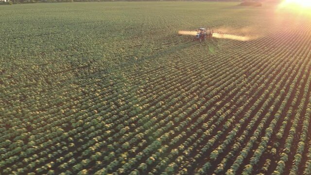 Aerial view of farming tractor spraying on field with sprayer, herbicides and pesticides at sunset. Farm machinery spraying insecticide to the green field, agricultural natural seasonal spring works.