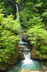 日本の自然　Japanese nature