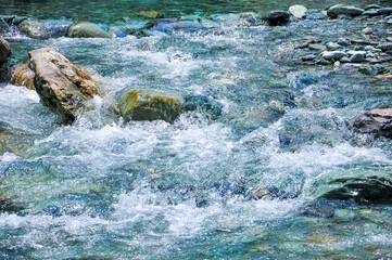 日本の自然　Japanese nature