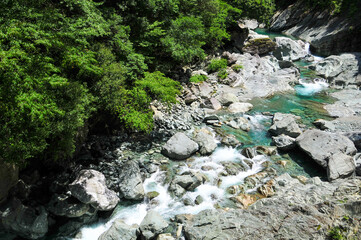 日本の自然　Japanese nature