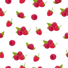 Seamless pattern with raspberries. White background, isolate. Vector illustration