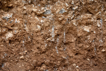 brown rocky texture with soil