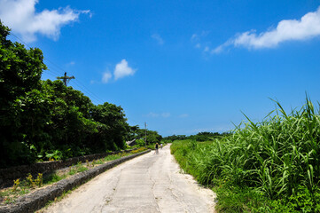 Fototapeta na wymiar 竹富島の風景　Japan summer sky landscape of Okinawa