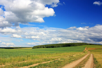 Country road in a wheat field
