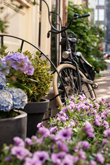 Fototapeta na wymiar Bicycle parked on a street near flowerpots
