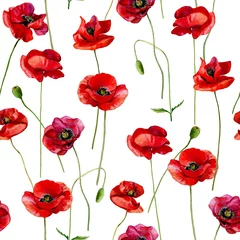 Wall murals Poppies Watercolor scarlet poppies seamless pattern on a white background.