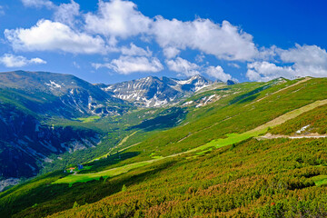 Fototapeta na wymiar Bulgarian Mountains. The Way to the Highest Peak 4