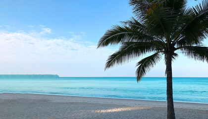 Beach and palm trees on the island of Phuket in Thailand