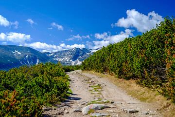 Road to Highest Mountain Peak in Bulgaria 1