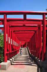 元乃隅稲成神社の大絶景　Good scenery of red torii and sea