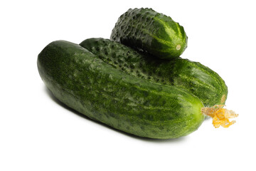 Green cucumber isolated on white background
