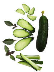Cucumber cut with rings isolated on white background