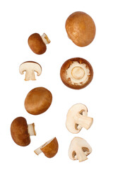 Royal champignon isolated on white background