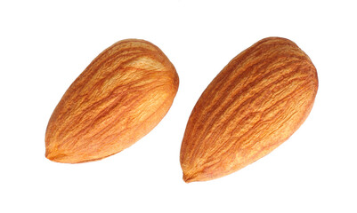 Almond nut isolated on white background