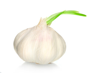 Garlic isolated on white background