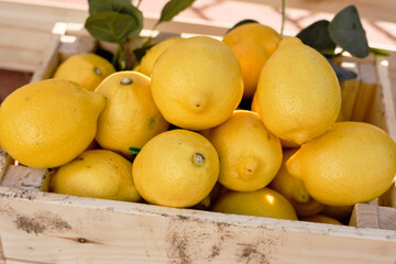 Pile of fresh lemons in wooden box prepared for making homemade lemonade