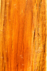 tree that was split in half until it saw the wood grain