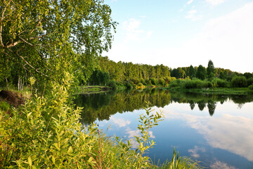 Summer background - calm river among birch groves. Summer landscape, water surface.