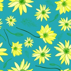 Fototapeta na wymiar Adonis pattern. Bright summer flower pattern. Turquoise. vector illustration. Botanical illustration