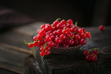 Fresh red currant with water drops in metal bowl. Healthy food on dark table mock up. Delicious, sweet, juicy and ripe berry background with copy space for text.